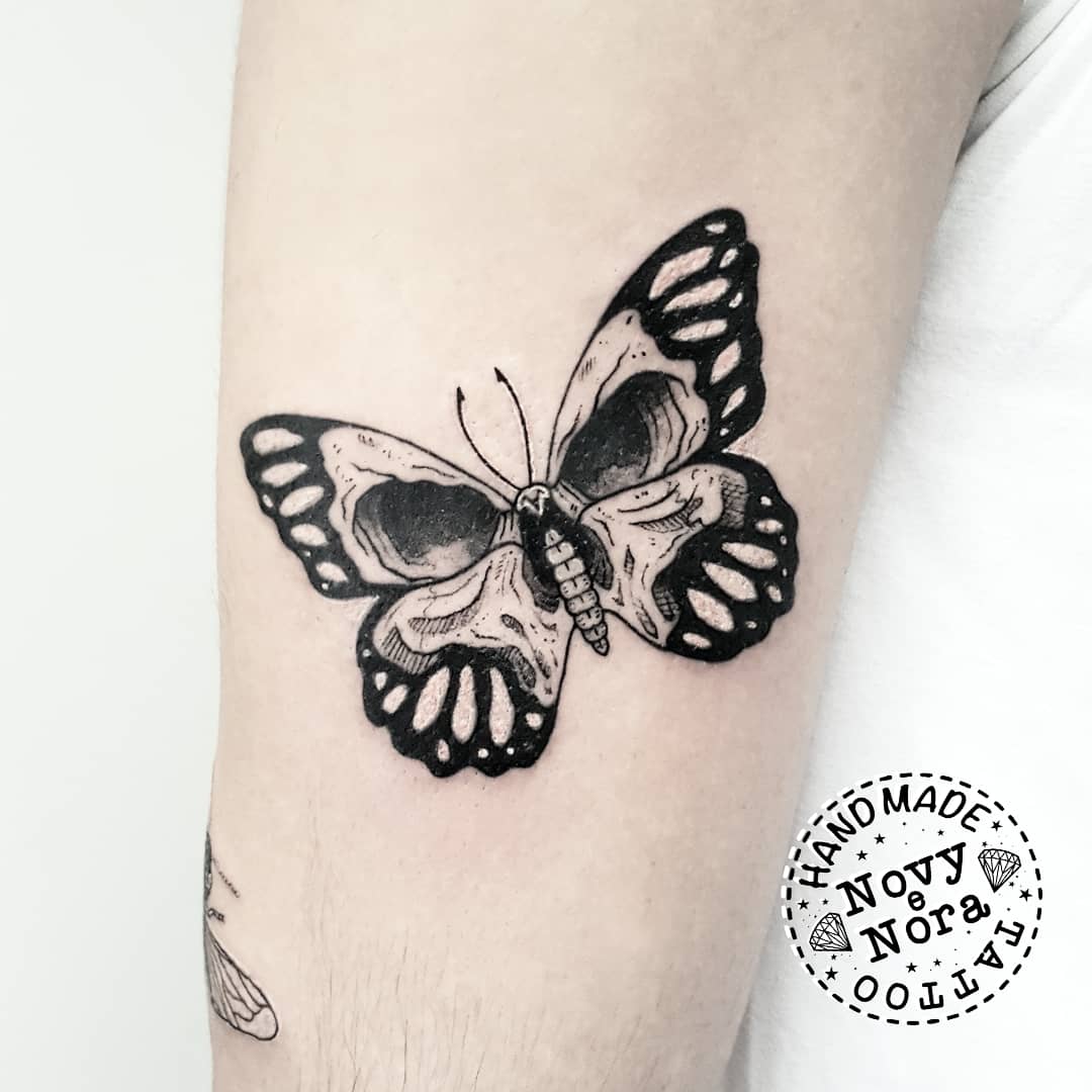 Traditional Tattoo 🦋💀 #butterfly #skullart #skull #butterflytattoo # farfalla #teschio #oldschooltattoo #traditionaltattoo #bee #ape #tattoo  #ink #carpi #art #tattooedmen #inkedmen #vedovanera #blackwidowtattoo  #blackwidow #🐝 #🕷, image size:1080x1080