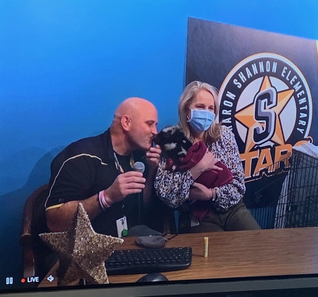 Katy Hill tweet media