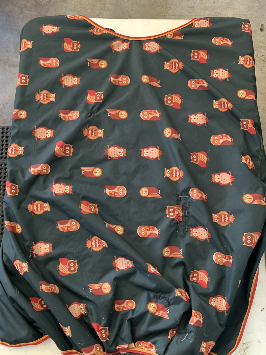 LxEquineLaundry's tweet photo. 🦉 Whooo is the best Equine Laundry service in town? We’ll let you decide! Before ↔️ After
#hoohoo 🦉 https://t.co/N8wy1mTmTW