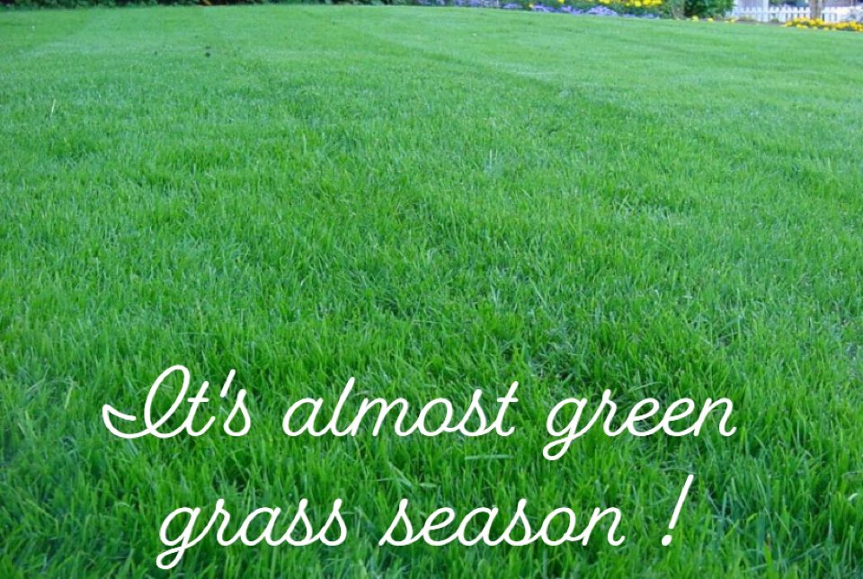 beautifydecatur's tweet image. #Spring2021 #DaysUntilSpring #SpringCountdown #greengrass #grassy