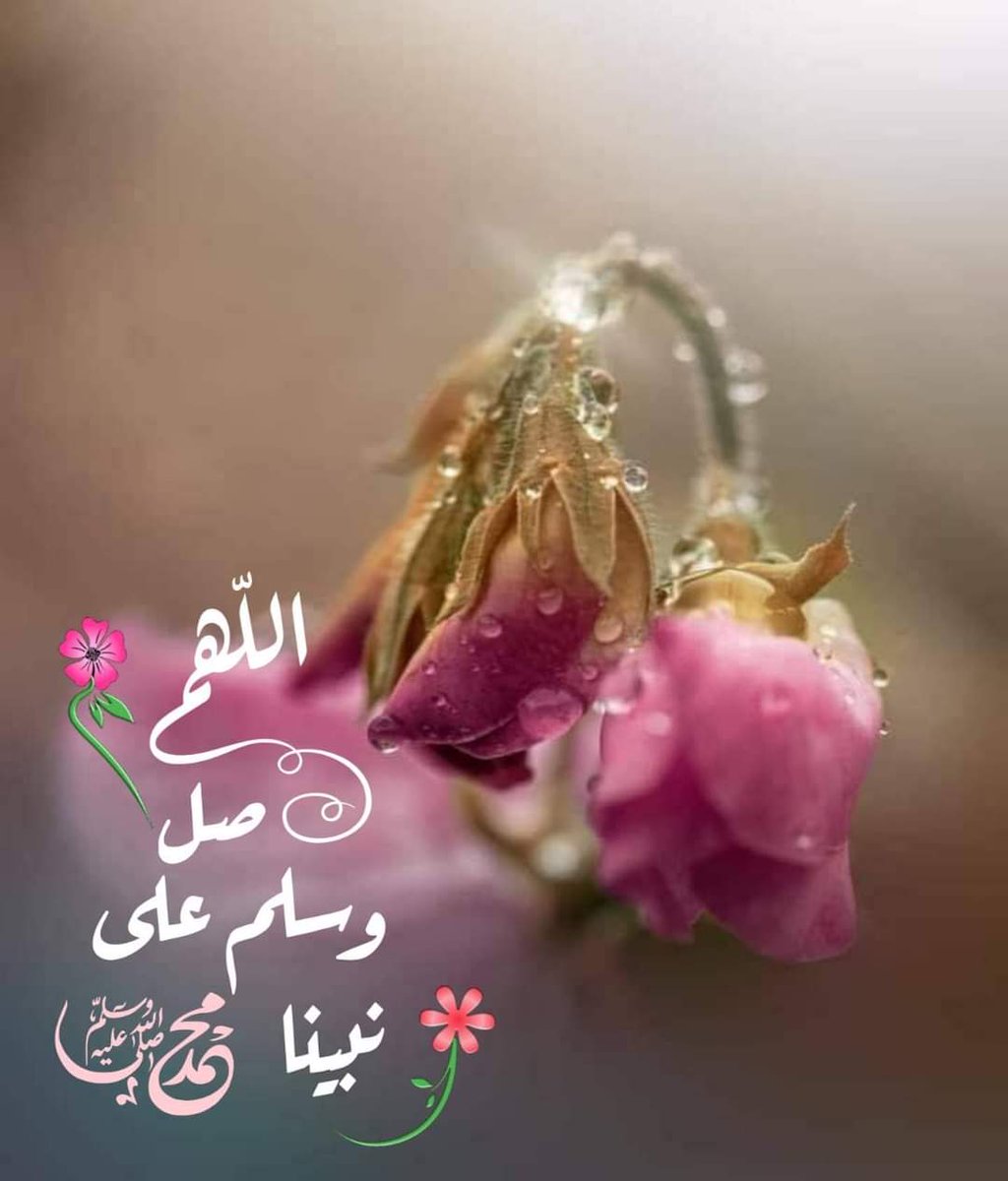 البارِق tweet media