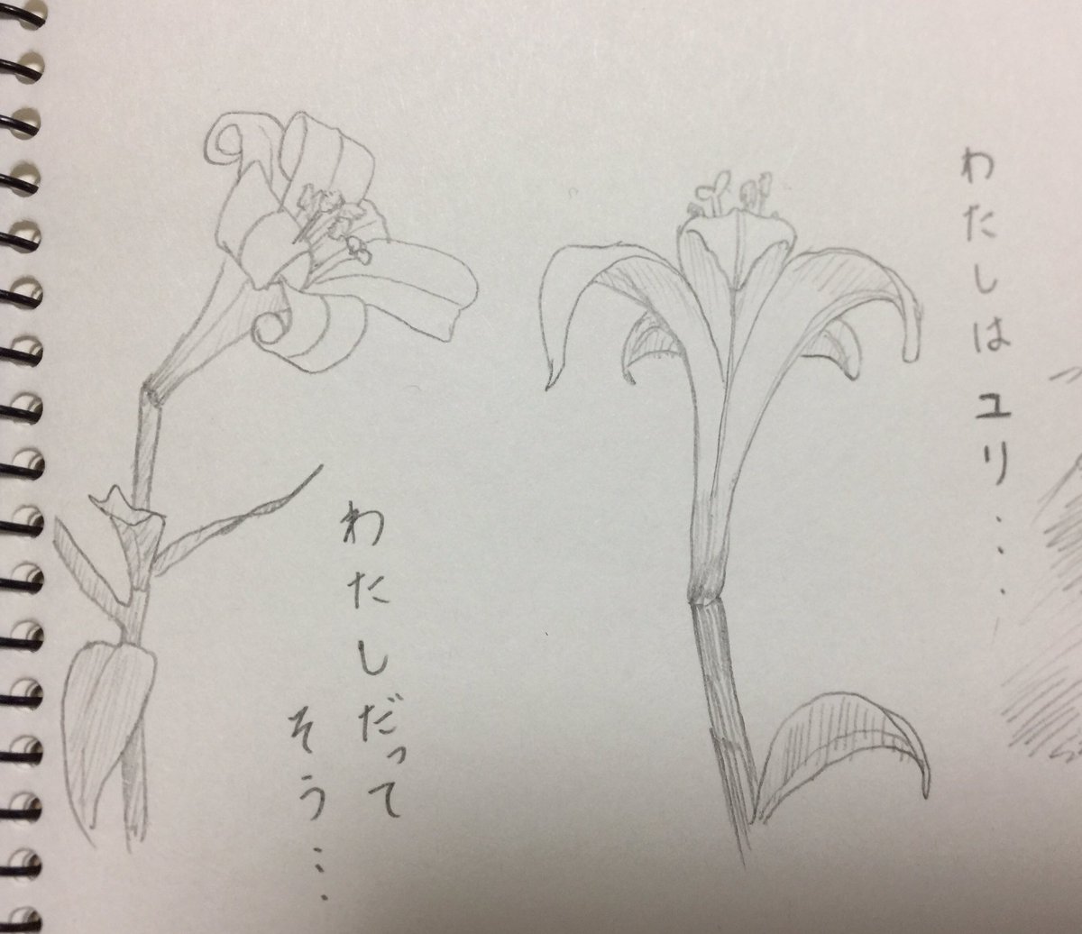 test
#絵描きさんと繋がりたい 