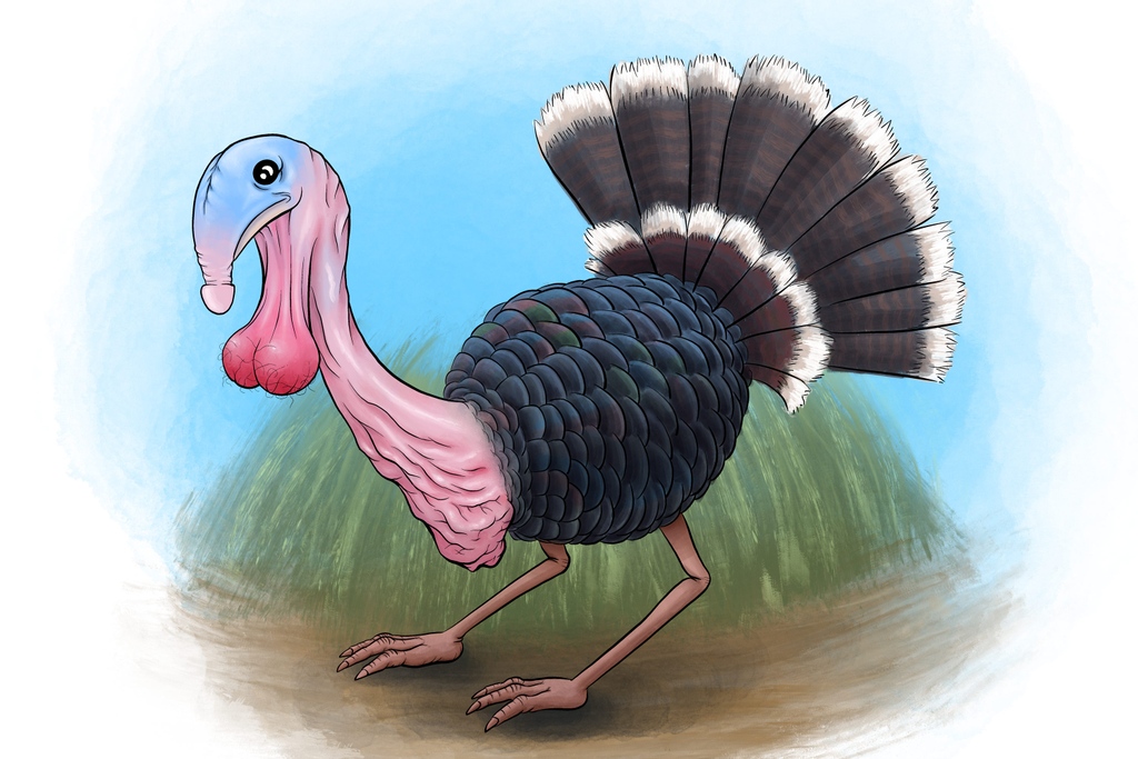 lolovolcano's tweet photo. Will have to work on the 3D model of this majestic creature for Thanksgiving 2021!
#lolovolcano #turkey #thanksgiving2021 #thanksgiving #lookslikeadick #illustration #procreate https://t.co/oR9UNSlnup