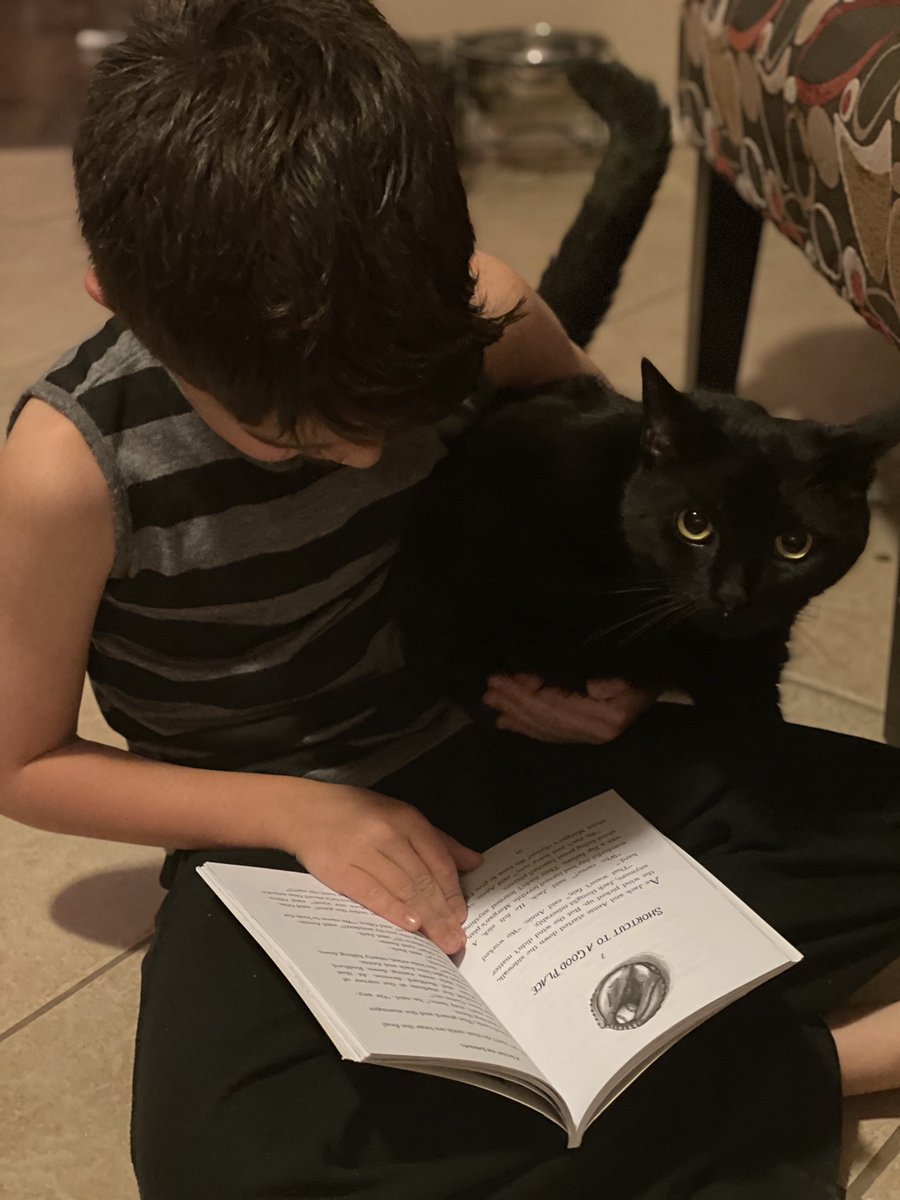 mapodaca_JCE's tweet photo. Even my cat likes to read!!!#BuffsLoveReading #ReadAcrossAmericaDay #TeamSISD https://t.co/Ky6BFLxiIn