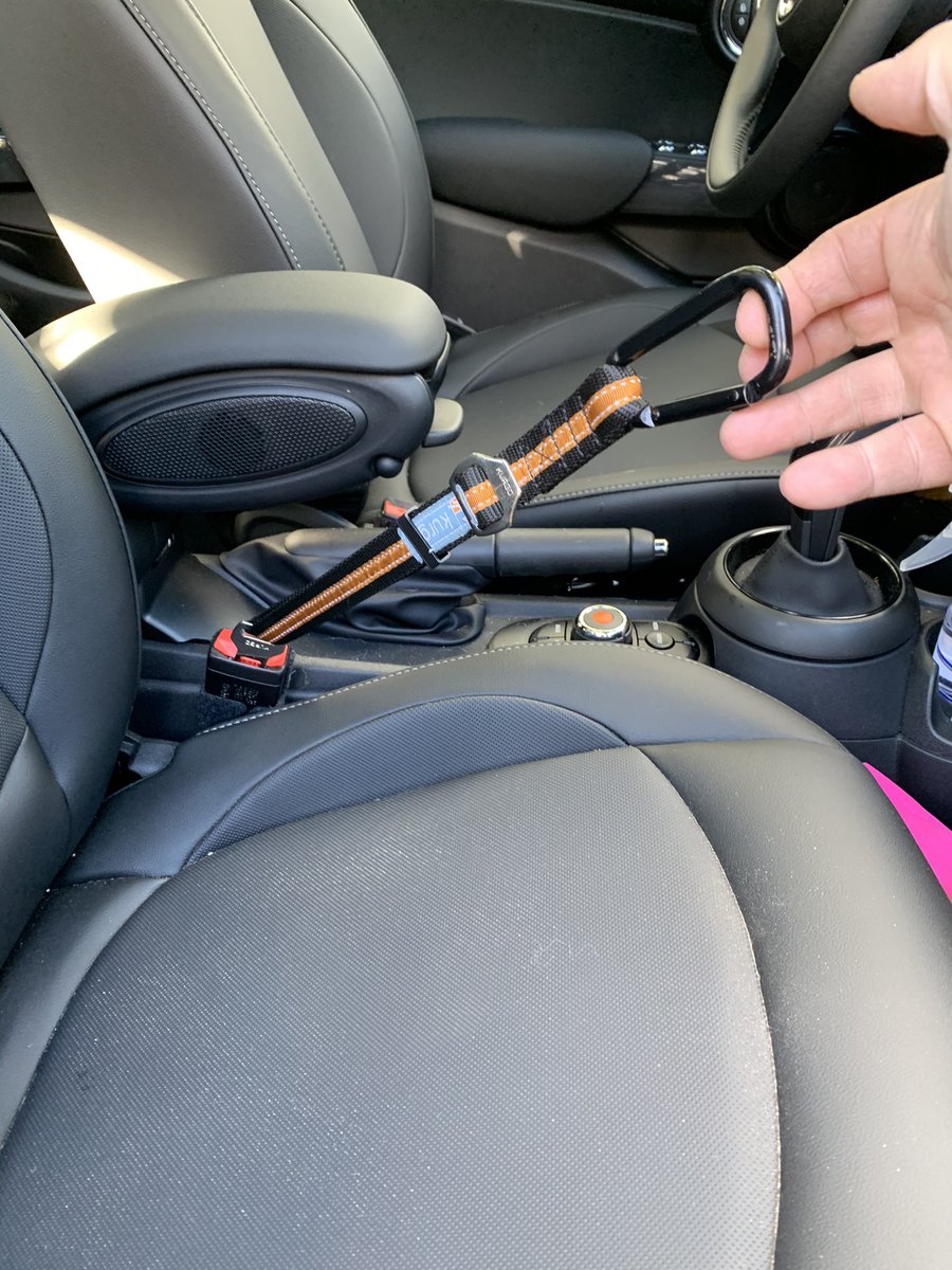 constablestokes's tweet photo. Fun fact! Your family pet needs to be secured just like any other passenger in your vehicle. Fine $109. Options? A crate, partition or this simple invention: a strap that plugs into the seatbelt. #police #trafficsafety #dogsoftwitter #drivingmissdoggie #stoked https://t.co/xrOxqQUKsV