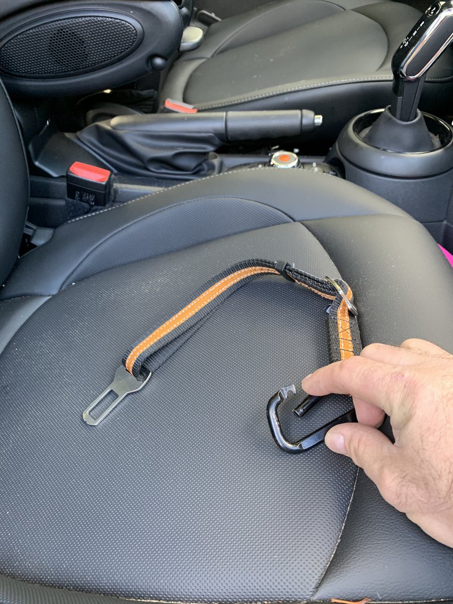 constablestokes's tweet photo. Fun fact! Your family pet needs to be secured just like any other passenger in your vehicle. Fine $109. Options? A crate, partition or this simple invention: a strap that plugs into the seatbelt. #police #trafficsafety #dogsoftwitter #drivingmissdoggie #stoked https://t.co/xrOxqQUKsV