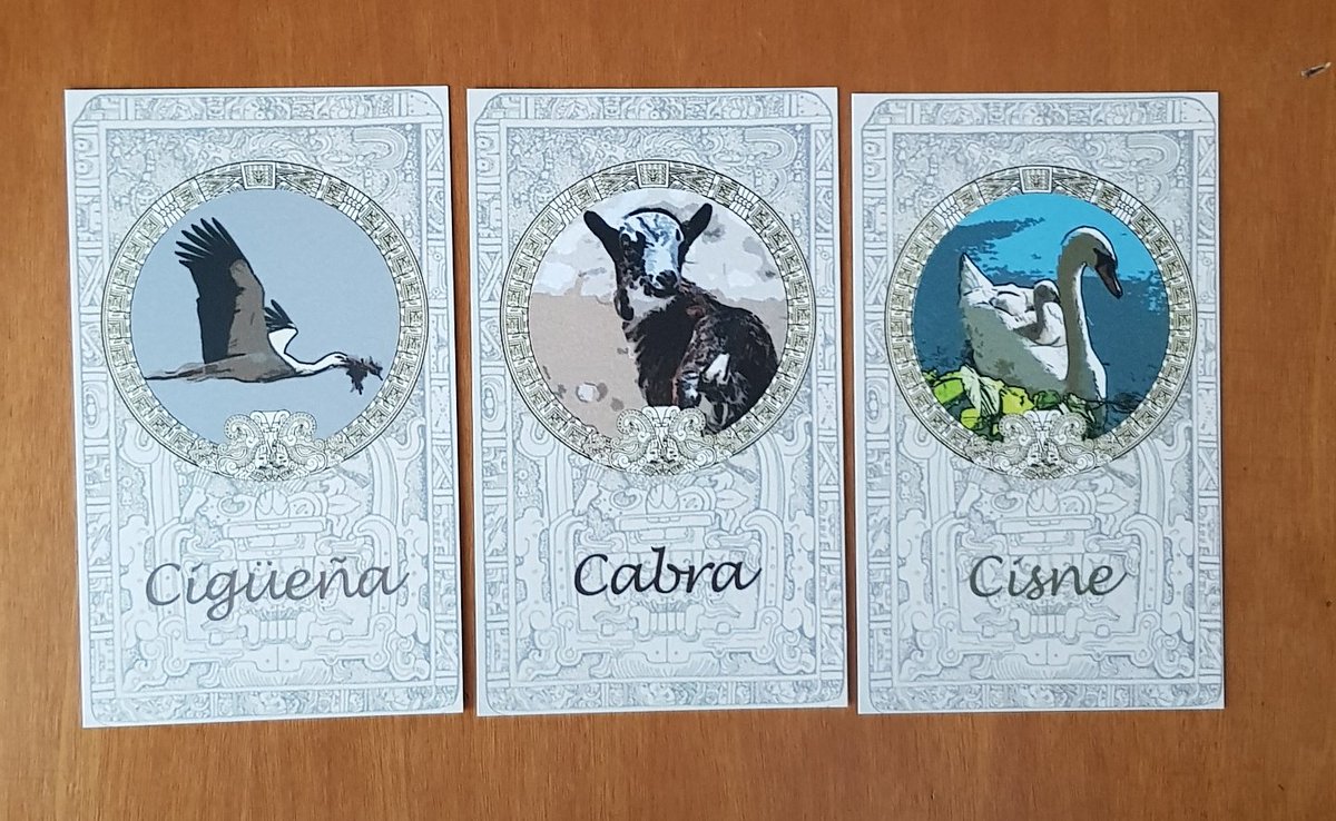 YsabelDanvers's tweet photo. Qué bonito meditar con ayuda de los animales 🐐🦢❤🔮
#AnimalesDePoder #LaNaturalezaEsUnLenguaje https://t.co/9uOPsHz3DZ