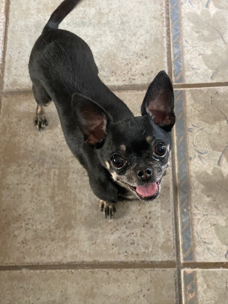 En este perfil amamos a Lucy