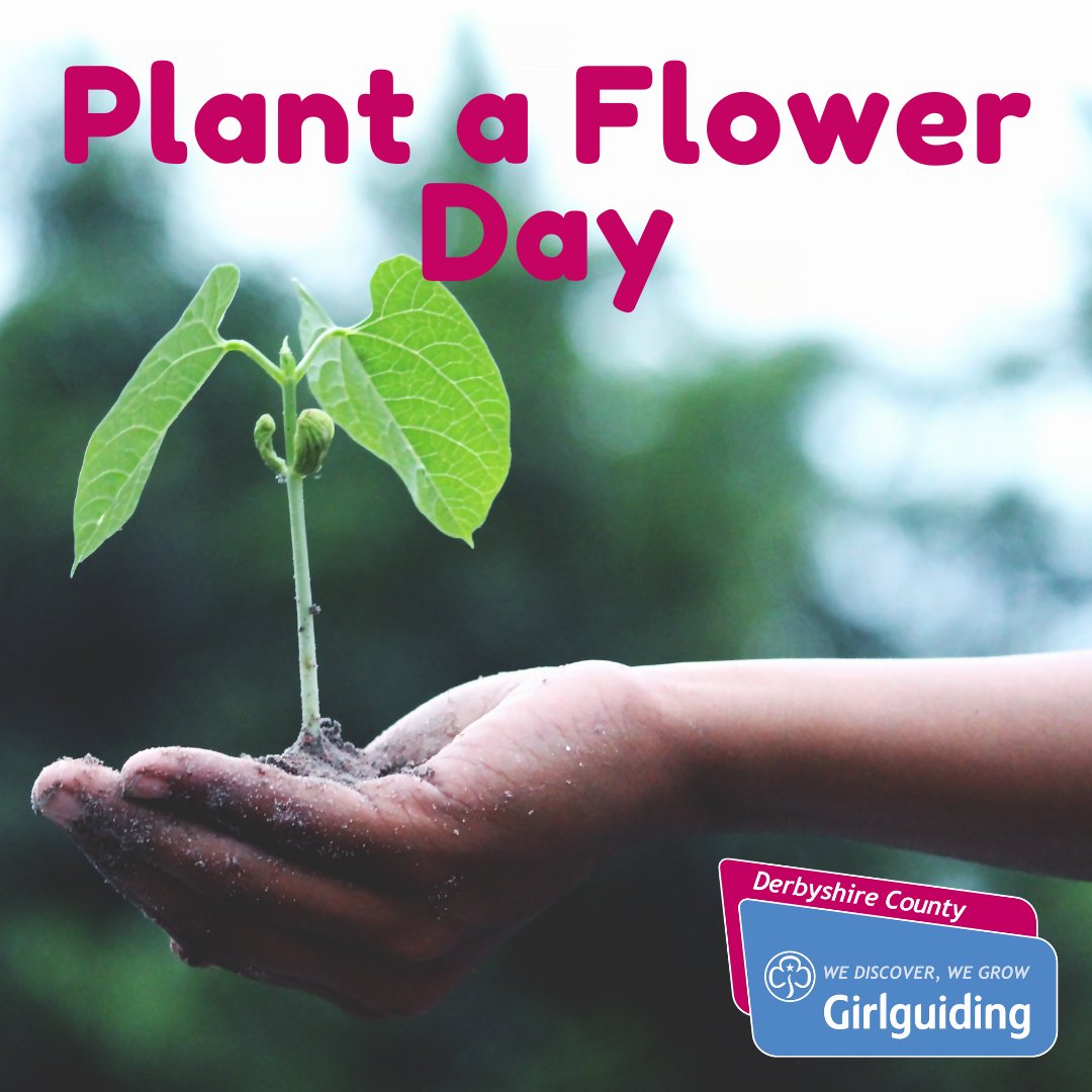 GuidingDerbys's tweet photo. 🌹It's plant a flower day! 
Brownies - check out your Grow Your Own badge!  
❓What would your dream garden look like? ☘️🌺🌻 https://t.co/YKwJ0T3Uau