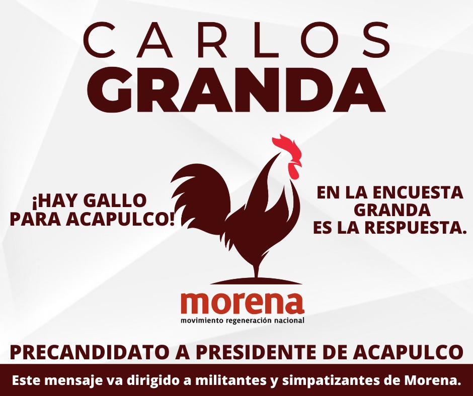 CarlosGranda1's tweet photo. Un nuevo amanecer para Acapulco está por venir, ya se oye el canto del GALLO que lo anuncia.  
¡ Hay gallo para Acapulco !
Vamos todos unidos por un mejor ACAPULCO ! https://t.co/6eVPH14yM6