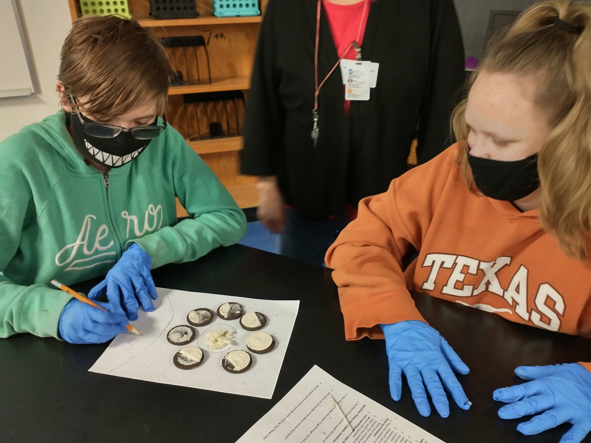 Ms D's Science Zone tweet media