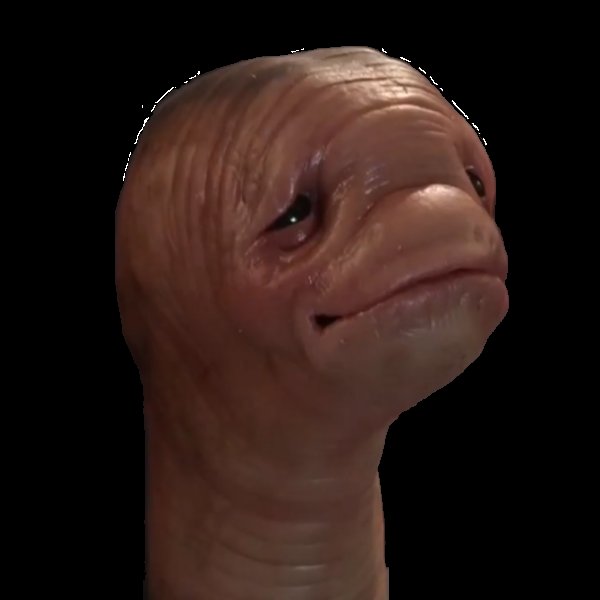 Geek2TheBeat's tweet photo. @pikmin_facts @PushDustIn Same energy https://t.co/ewXlZpAOQU