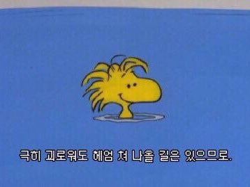 김은보 tweet media