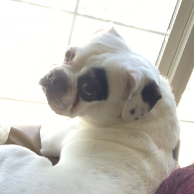 #NewProfilePic