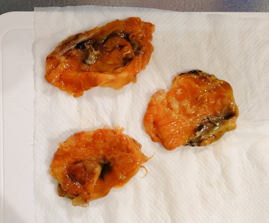 ほやのある店 Twitter Search Twitter