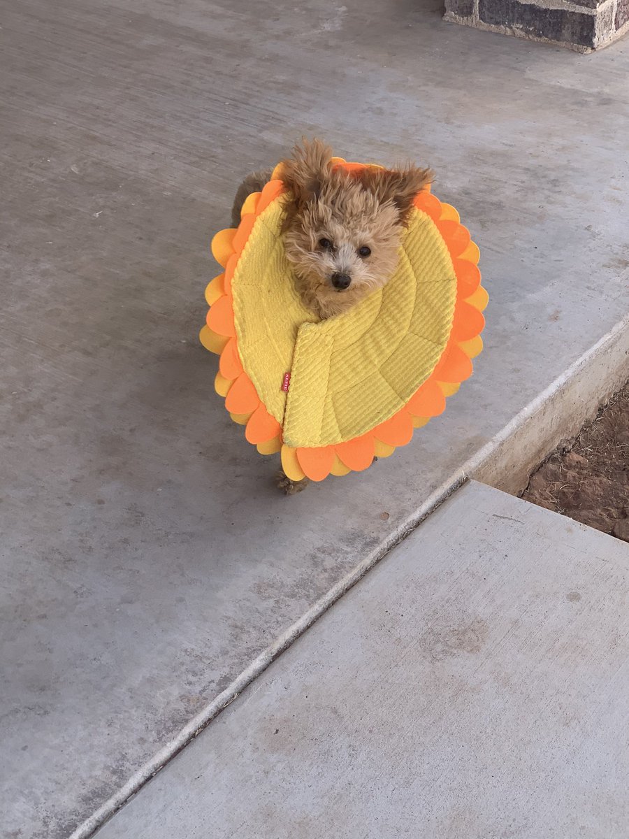 Ashtoshii tweet media