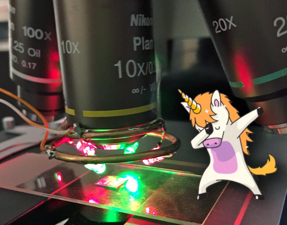Siliconinsid's tweet image. Experimenting with Rheinberg illumination: Using coloured light at different angles to reveal the orientation of structures on silicon chips. I think I need to explore this further with a better LED rig, what do you think of the results?