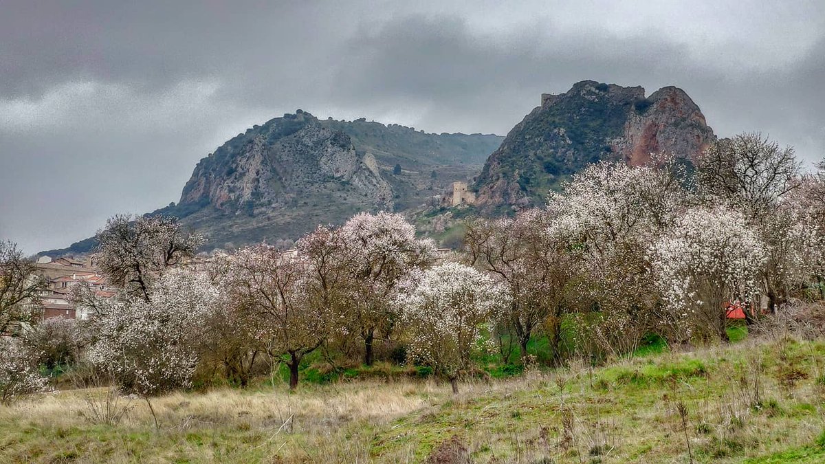 pd_diaz's tweet photo. "La Cárcava Florida" 🌳🌸🏞️
·
·
#Almendrosenflor en #PozadelaSal (con el #diapiro y #ElCastellar de fondo), cuna de #FélixRodríguezdelaFuente.
#LaBureba, #Burgos.
·
[#almendros en #flor, en la #bureba / #RaícesdeCastilla / #Burgosenelmundo, @BurgosTur / #CyL, @cylesvida]. https://t.co/oLcy7l3pBM
