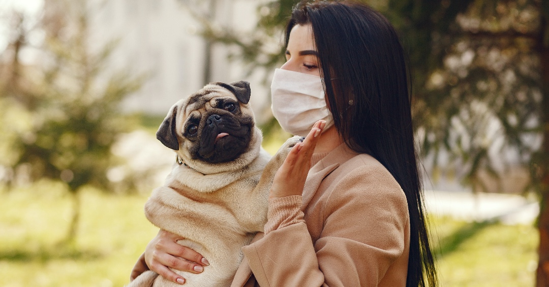 Many areas are beginning to ease COVID-19 restrictions, and teams are preparing to resume visits. In our Take The Lead blog, we’ve updated our post about therapy animal visiting with safety guidance so everyone can still benefit from the human-animal bond: petpartners.org/blog/returning…