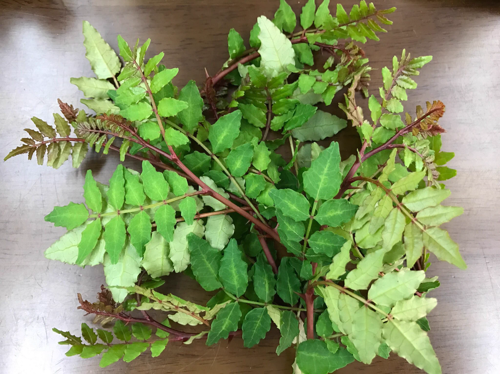 ストレス抱えていませんか？瞼のぴくぴくはストレスサインですよ！