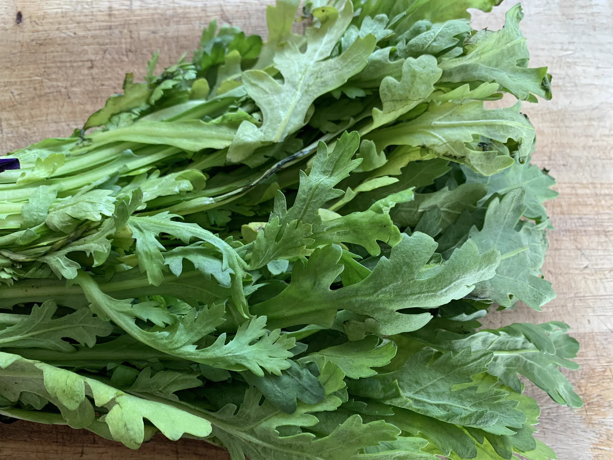 ストレス抱えていませんか？瞼のぴくぴくはストレスサインですよ！