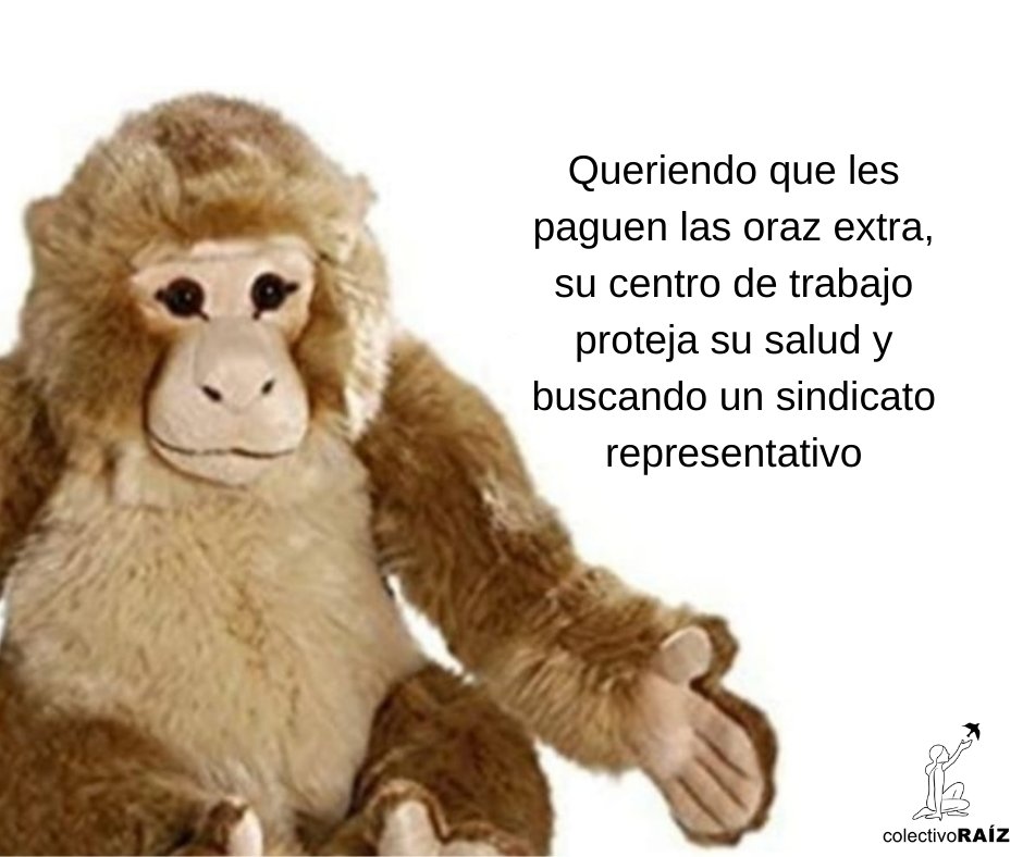 ColectivoRaiz's tweet photo. Lupe y Joaquín discuten sobre la  #JusticiaLaboral y los #DerechosLaborales https://t.co/XoJjHyHDSm