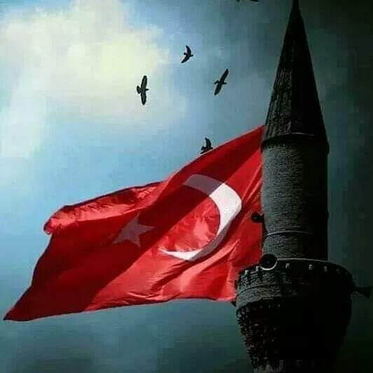 EczSerefkacar's tweet photo. Bitlis'in Tatvan ilçesinde kaza kırıma uğrayan askeri helikopterde şehit olan kahraman askerlerimize Allah'tan rahmet, kederli ailelerine başsağlığı; yaralı askerlerimize acil şifalar diliyorum.

Milletimizin başı sağ olsun.🇹🇷🇹🇷 https://t.co/4tdTlcK8zc