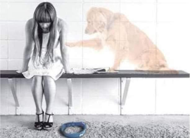 Sandra 💛Ψ✿(ツ)™ 🖐 tweet media