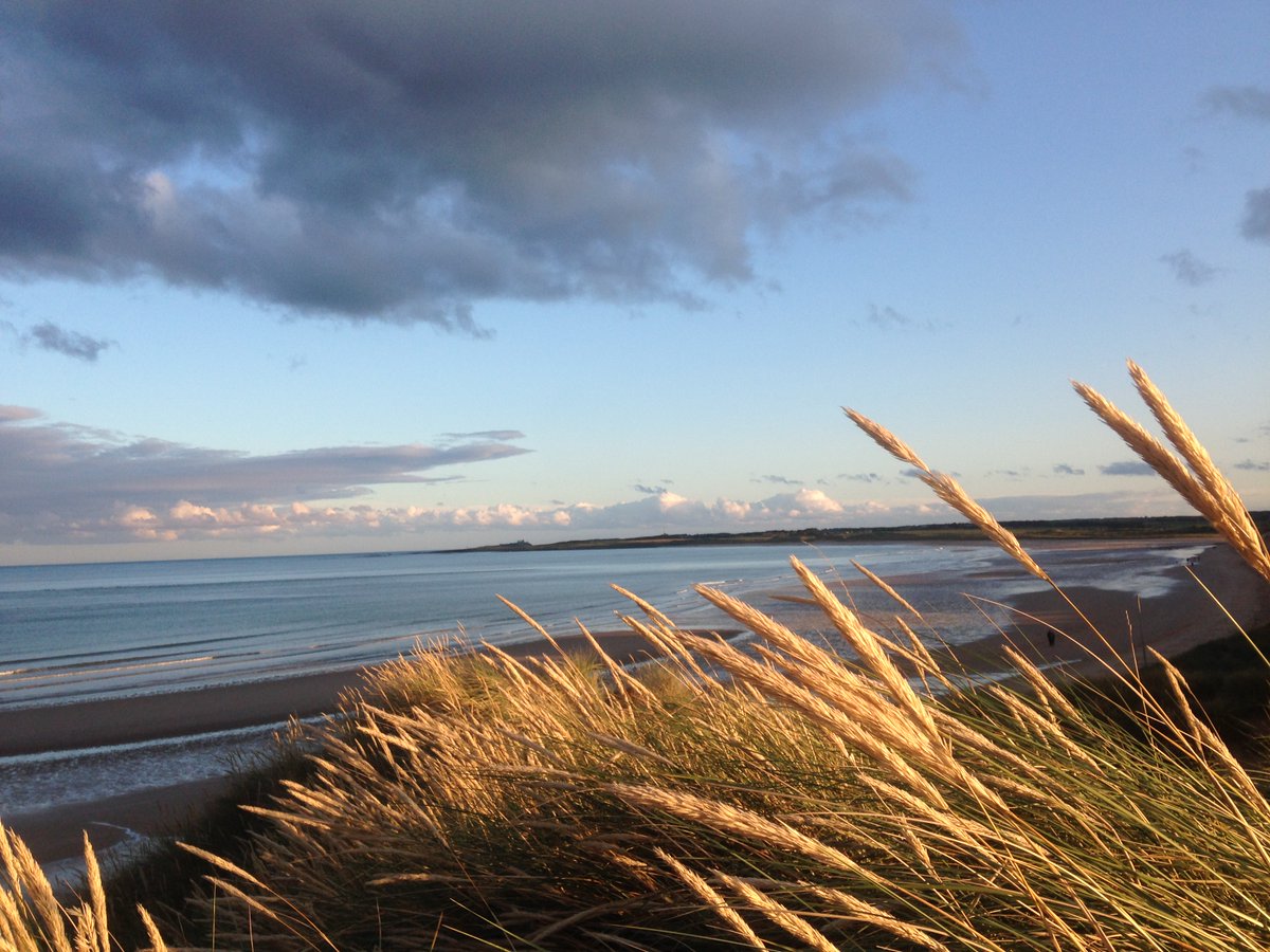 HARTResearch's tweet photo. 🌊In #Greek #mythology #religion #Haliae were #nymphs of #sea &amp; #shores 🧜🏼‍♀️ Of these #spirits 50 were #Nereids sea nymphs, daughters of Nereus &amp; Doris. For @FolkloreThurs #FolkloreThursday #seas &amp; #rivers theme &amp; for #Northumberland #seasprite @sjholt50 💙🔱&amp; DCI @VenetiaJane 🌊 https://t.co/KrPtgamF8K