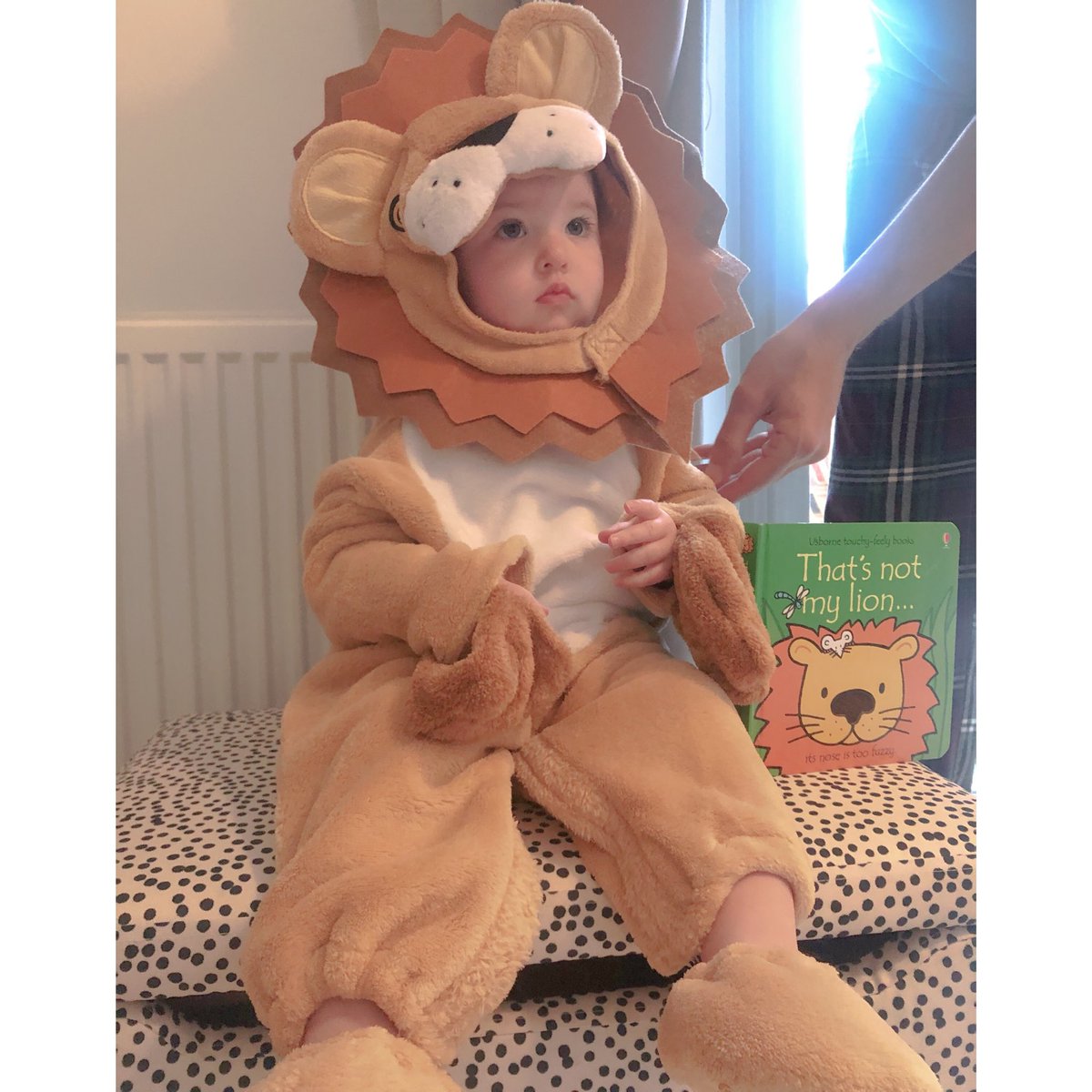 missdines_'s tweet photo. Happy World Book Day! 🦁 🌎📚 https://t.co/6NzmA24ec5