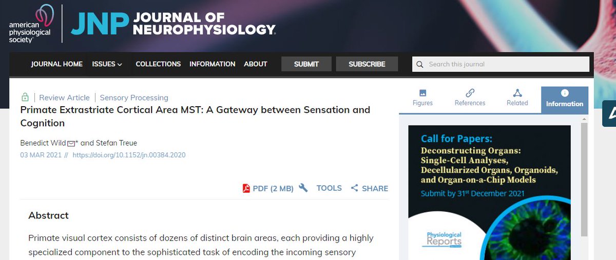 JNeurophysiol's tweet photo. #ArticlesInPress "Primate Extrastriate Cortical Area MST: A Gateway between Sensation and Cognition"
Benedict Wild and Stefan Treue
#VisualCortex #OpticFlow #Neuroscience
@BenedictWild @StefanTreue
https://t.co/ZB71iZQD4T https://t.co/4JThPs2d71