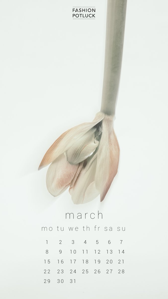 FashionPotluck's tweet photo. To welcome spring this year we have made some beautiful  women empowerment and body positivity calendars/ screensavers for you! Click here to check out all of them: https://t.co/5FurmWSUJc #women #womenempowerment #bodypositvity #spring #SpringIsComing #beautiful #joinus https://t.co/tJMF53Czeh