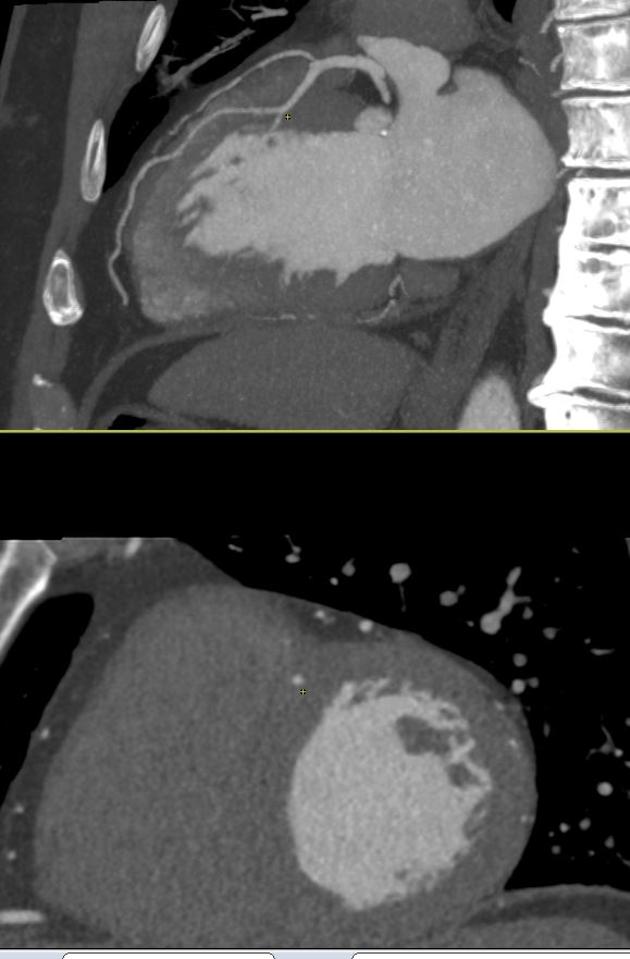 Seth Uretsky tweet media