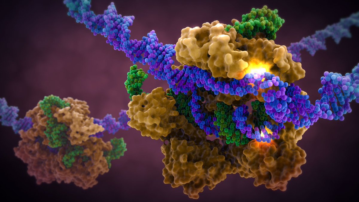 Biotech tweet media
