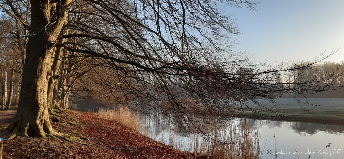 #schaffelaarsebos #koewei #Barneveld