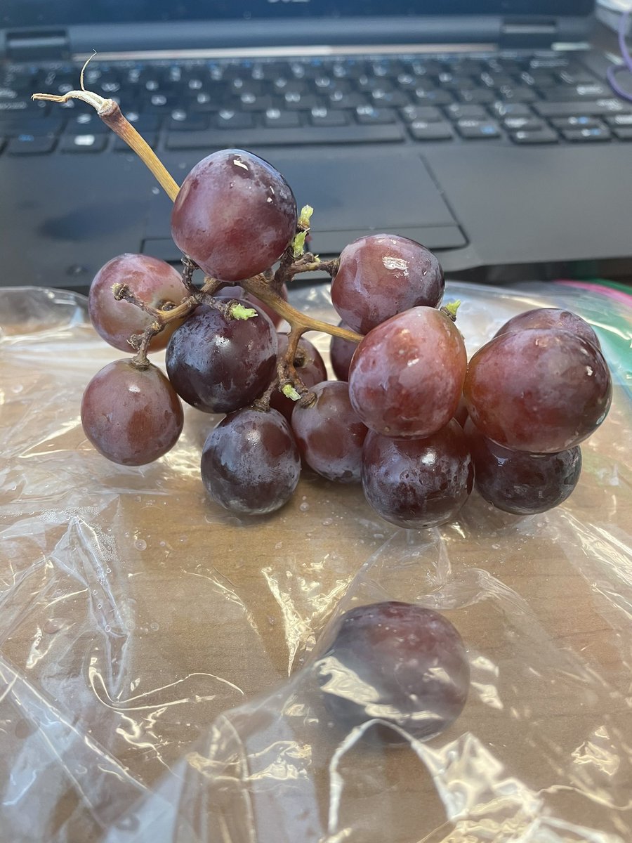dev_stem's tweet image. Eating lunch and thinking about nutritional content. 100 grams of grapes has 60 calories. How many calories can be found in each grape, if they are all about the same size? 

#STEMlens #NutritionMath @talkingSTEM