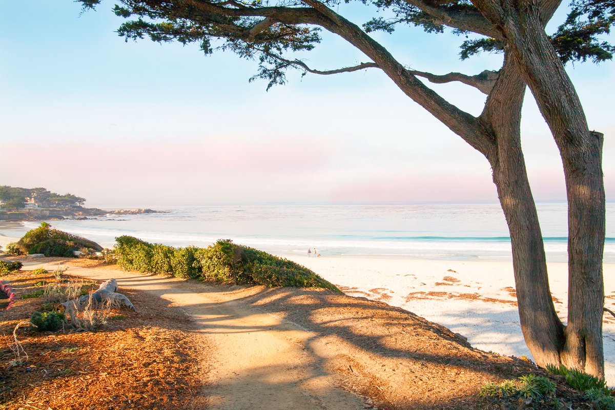 Beautiful Monterey, come experience it just as you remember!
•
•
•
#MontereyPlazaHotel #Monterey #California #MontereyBay #DistinctlyCalifornia #BestCoast #BestInTravel #SeeMonterey #VisitCalifornia #WestCoastTravels #CaliforniaTrip #VisitMonterey