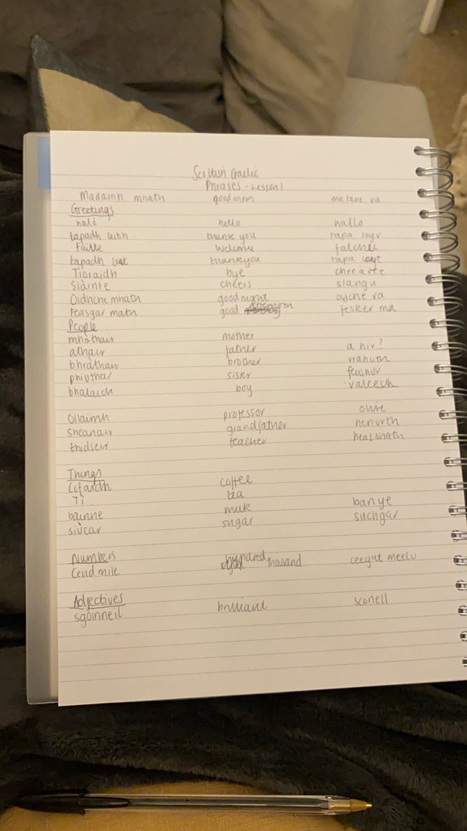 Currently learning Scottish Gaelic on duolingo. Very fun but also the pronunciation is really quite tricky. I am really enjoying it #newskill