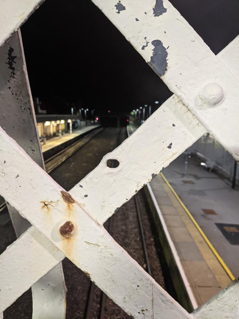 localbirder's tweet photo. @Deal_Town Possibly a bullet hole there is around 3 others in close proximity. https://t.co/JKU6ChyOVN