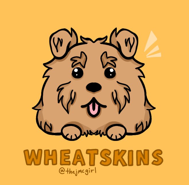 thejmcgirl's tweet photo. #wheatskins #wheattwt #SECRETSMP #ayyttwt #innitsecret https://t.co/jfOgzFxugU