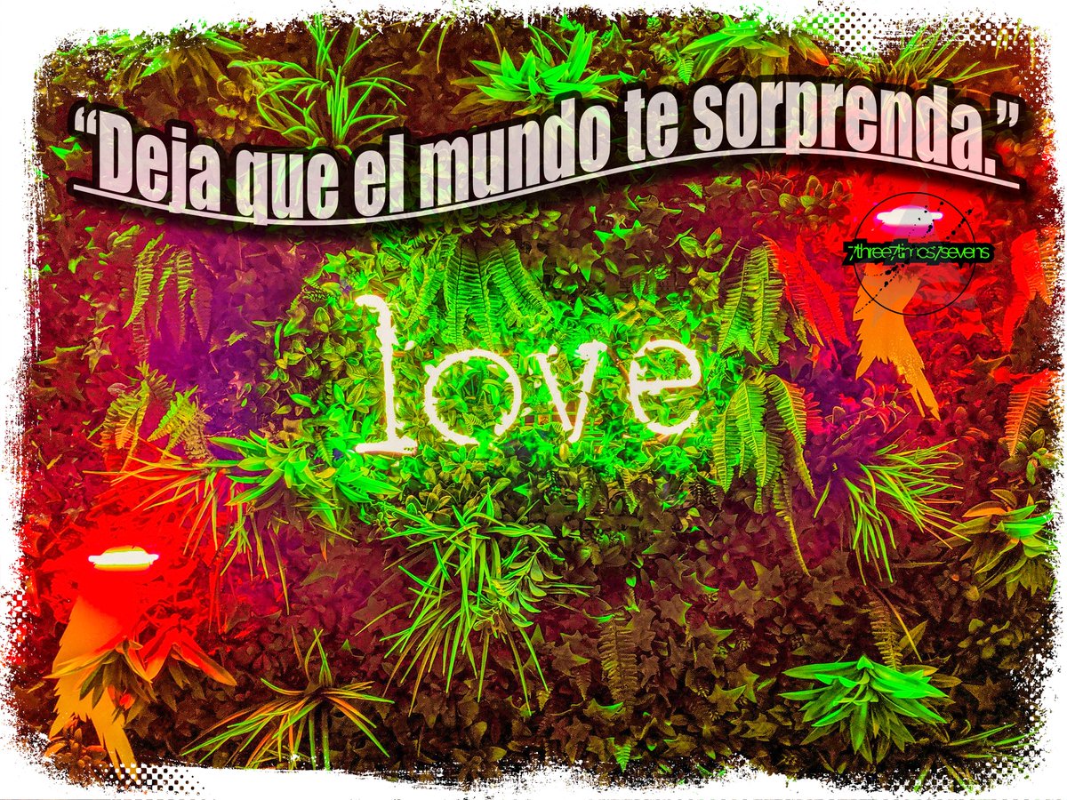 7three7times7s1's tweet photo. sorprendeme mundo
#infoproductos #negociosenlinea #productosdigitales
#embudodeventas #mentalidadexitosa #tipsdeinstagram #mercadologos
#gestionderedessociales #posicionamientoseo #gestionderedes
#estrategiasdigitales #contenidosdigitales
#mktafiliados https://t.co/HNSzgVQjcY