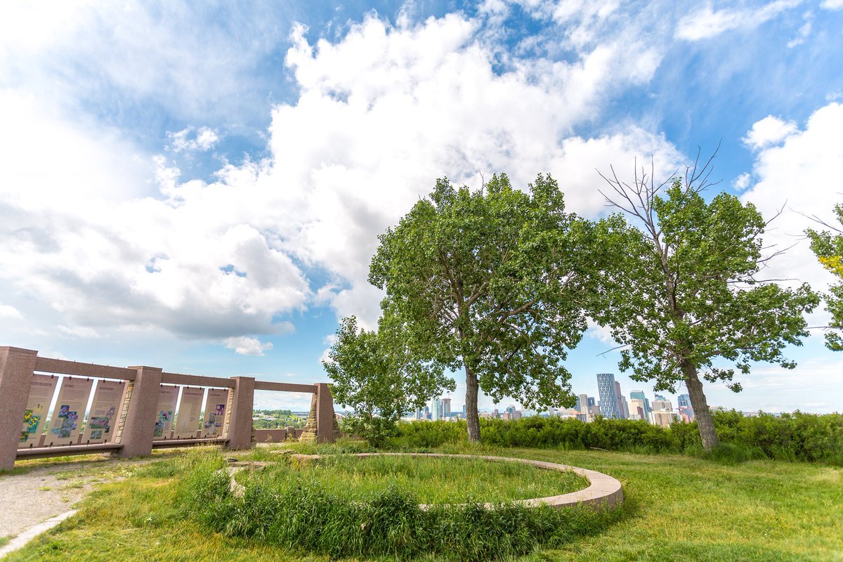 Neil here. 

Sorry not sorry for outing Bridgeland’s really cool hill. It’s actually Tom Campbells Hill, but it’s in Bridgeland. If you can figure out how to get up there, you’re really going to enjoy it. 

RT this and be entered for a $25 GC to Sushi Bar Zipang in the hood!