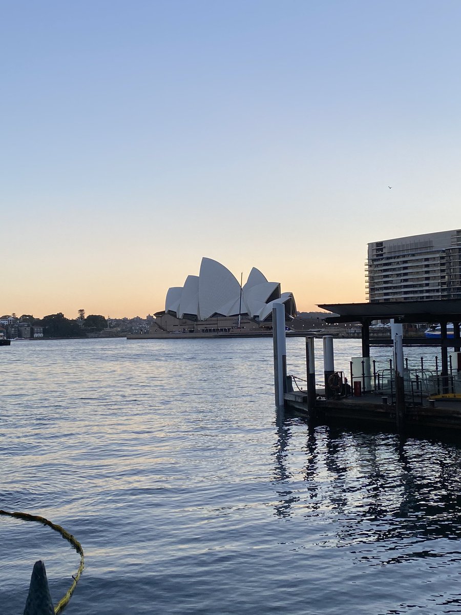 bradnhaz's tweet image. So much fun this morning running!