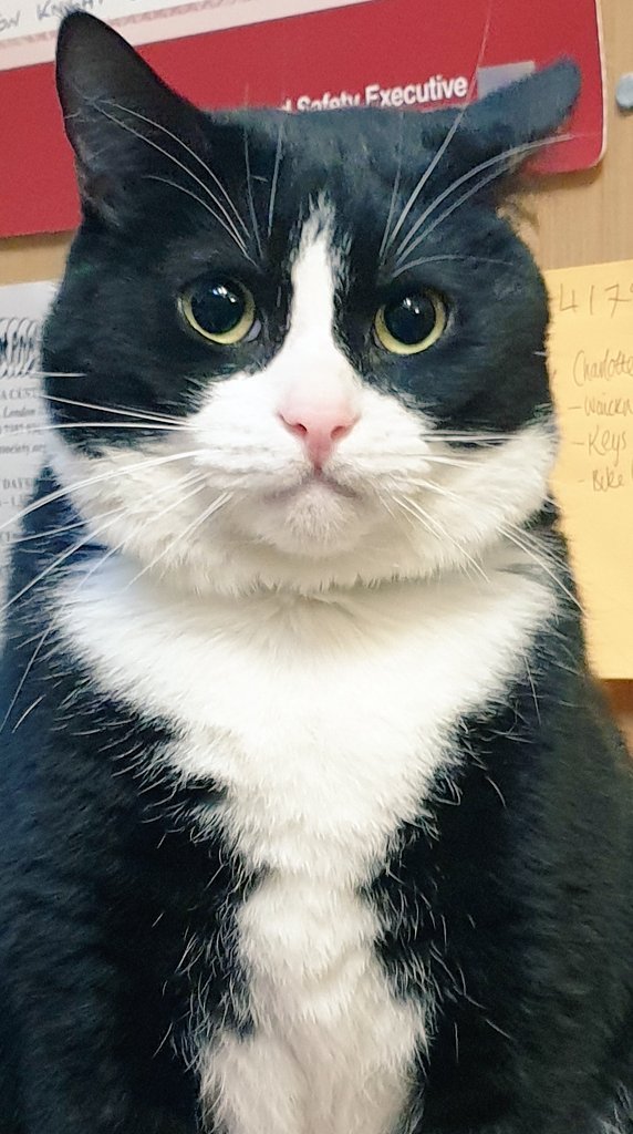 cari910's tweet image. 