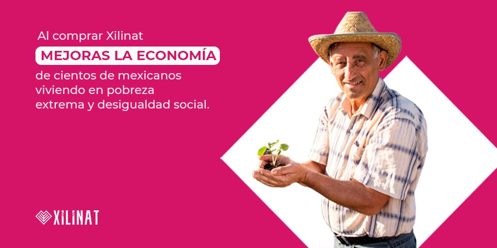 👉Compramos a campesinos #olote 🌽materia prima en la producción de #Xilinat 😋

#ImpactoSocial #EconomíaLocal #ConsumeLocal