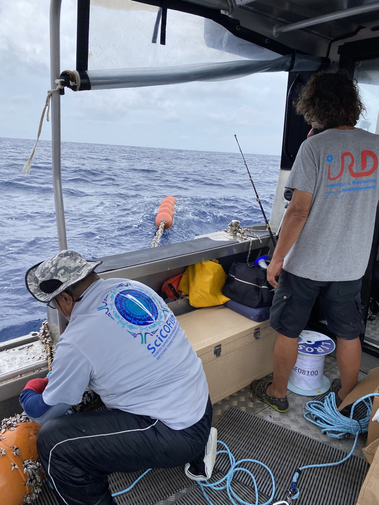 UMREntropie's tweet photo. Tropical Cyclone #Niran is approaching New Caledonia.
@ird_fr @UMREntropie @SPC &amp; @PCCOS just placed a wave gauge and T° sensor far from the barrier reef on Uitoe FAD to measure wave heights &amp; the associated sea surface temperatures
Project funded by @francediplo via #PacificFund https://t.co/CbcAKcofjz