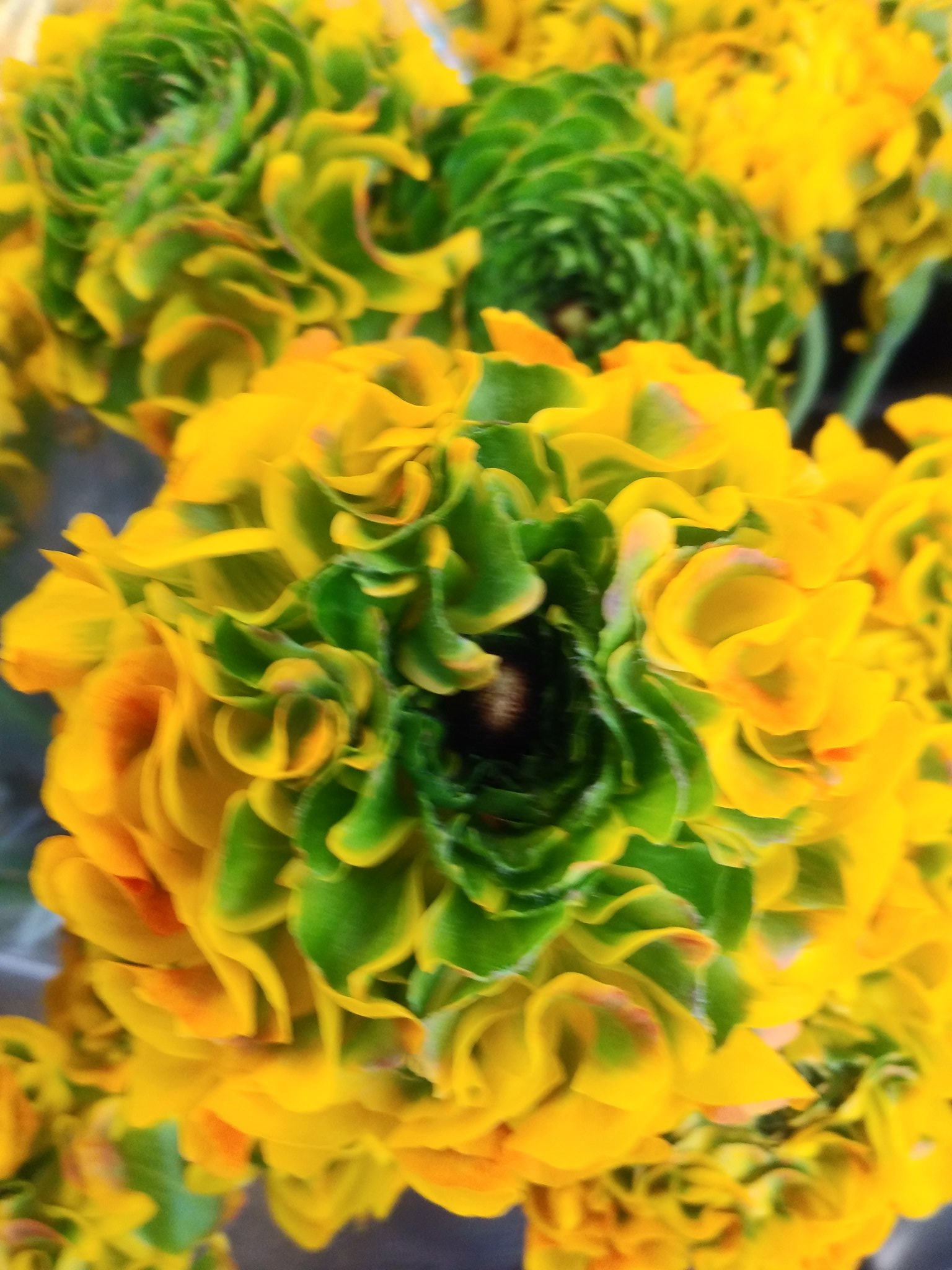 توییتر مشاهده توییت Hanaco Nerima در ۵ مارس ۲۰۲۱ در Twitter