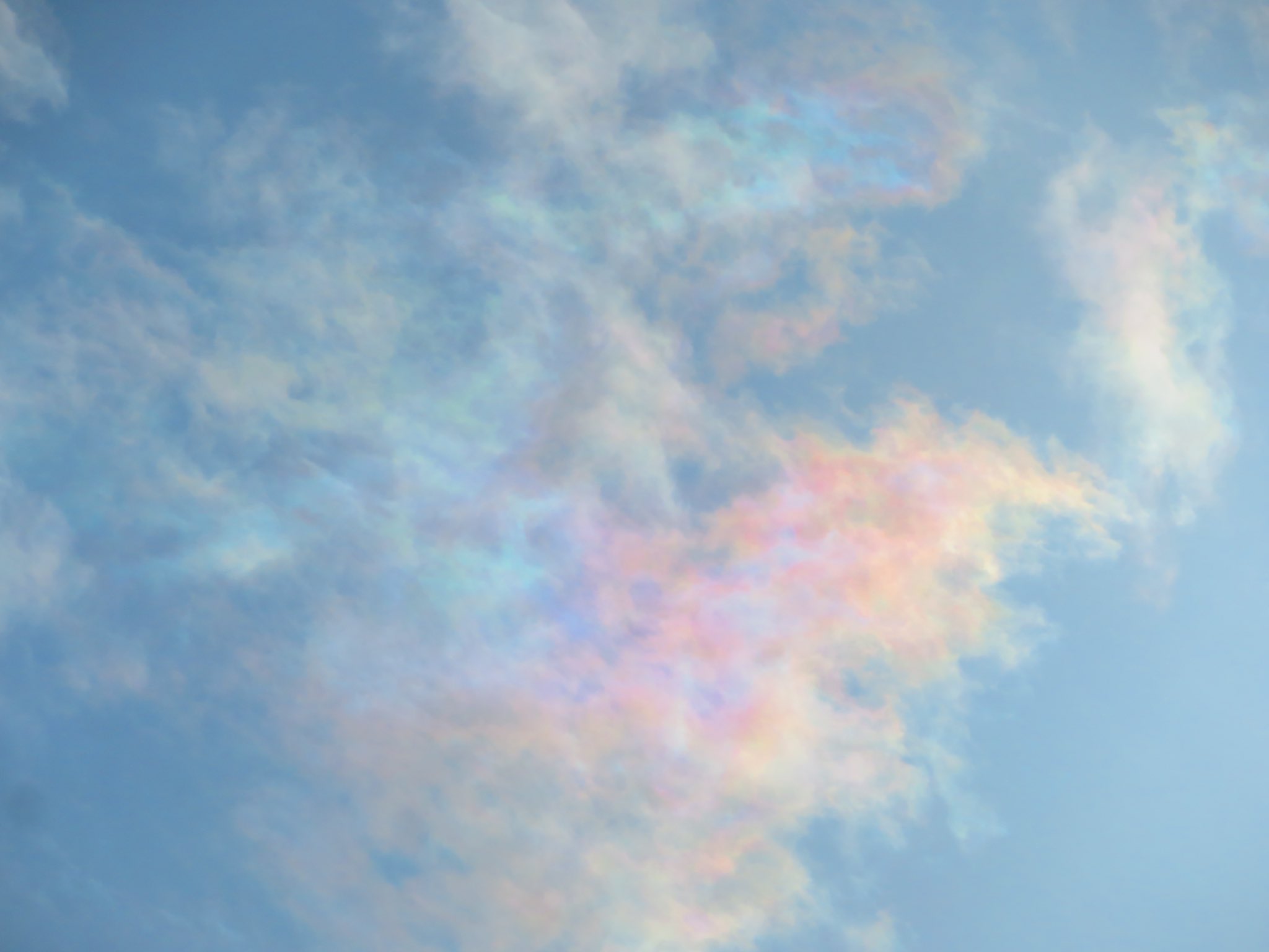 荒木健太郎 淡い虹色の彩雲に出会いました T Co Iw7v12hgo0 Twitter
