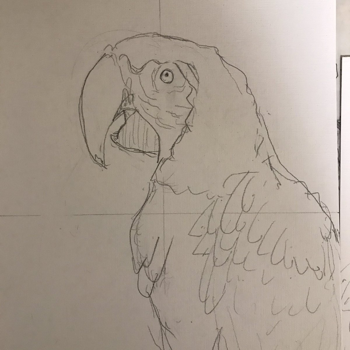 おんなじ鳥描いてこんなちがい出るんか 