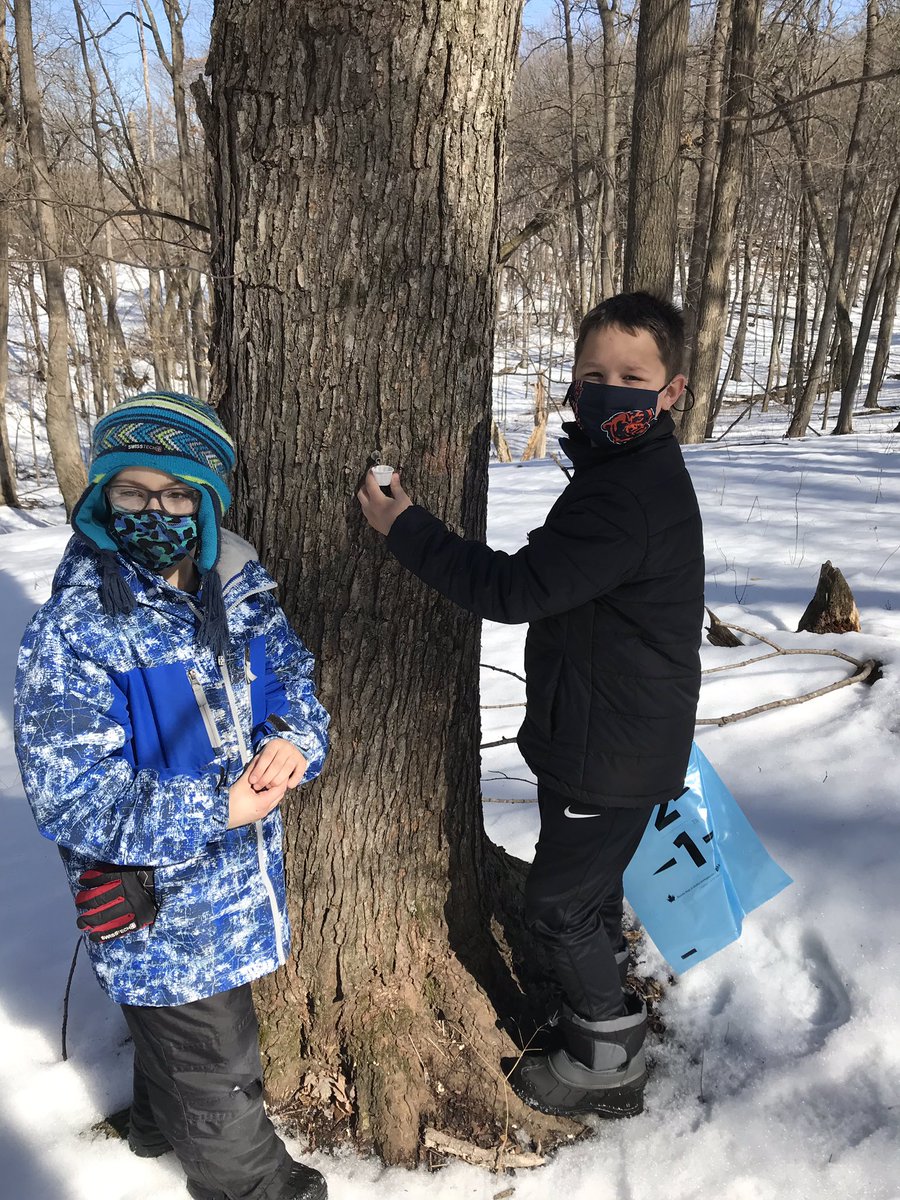 4MissBass's tweet photo. Learning tastes so sweet 😋 #MapleSyrup #tappingtrees #ReedsburgPride https://t.co/aggEbH3QcH